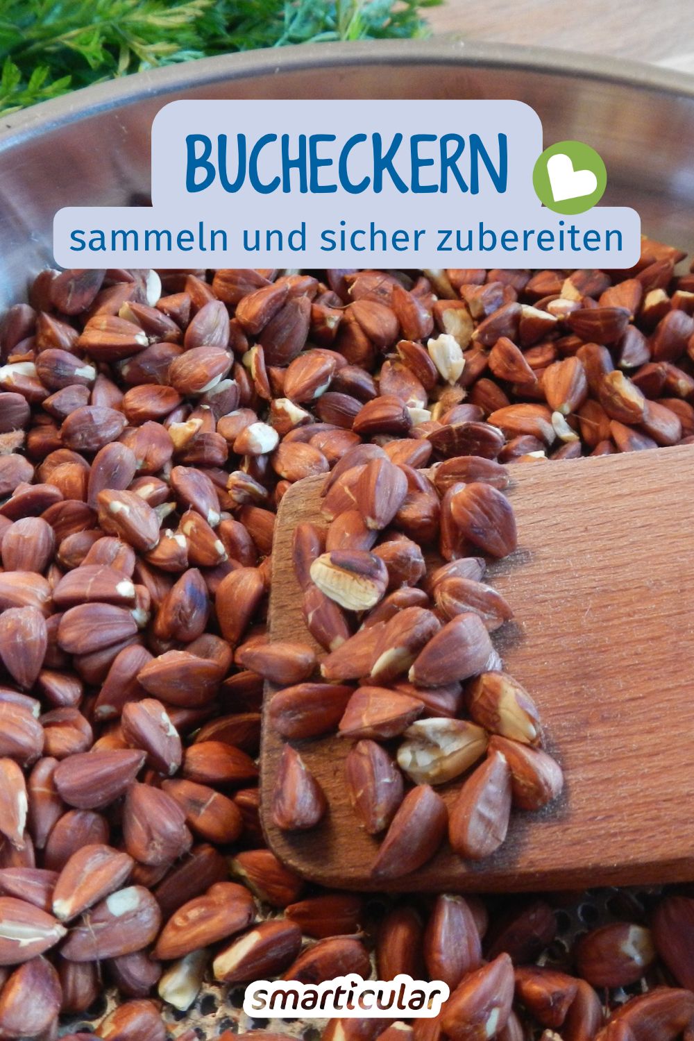 Bucheckern sind das heimische Superfood des Herbstes. Wie du sie mühelos schälst, durch Hitze bekömmlich machst und köstlich zubereitest.