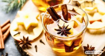 Apfel-Zimt-Glühwein selber machen. Ob mit Apfelwein oder als alkoholfreier Punsch – dieses Rezept wärmt von innen und duftet herrlich!