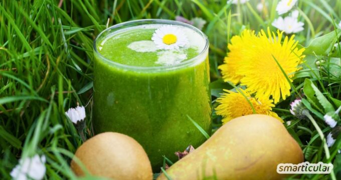 Grüner Smoothie mit Spinat, Birne und heimischen Wildkräutern: Ein Nährstoffkick im Glas – schnell gemixt und ohne exotische Zutaten.