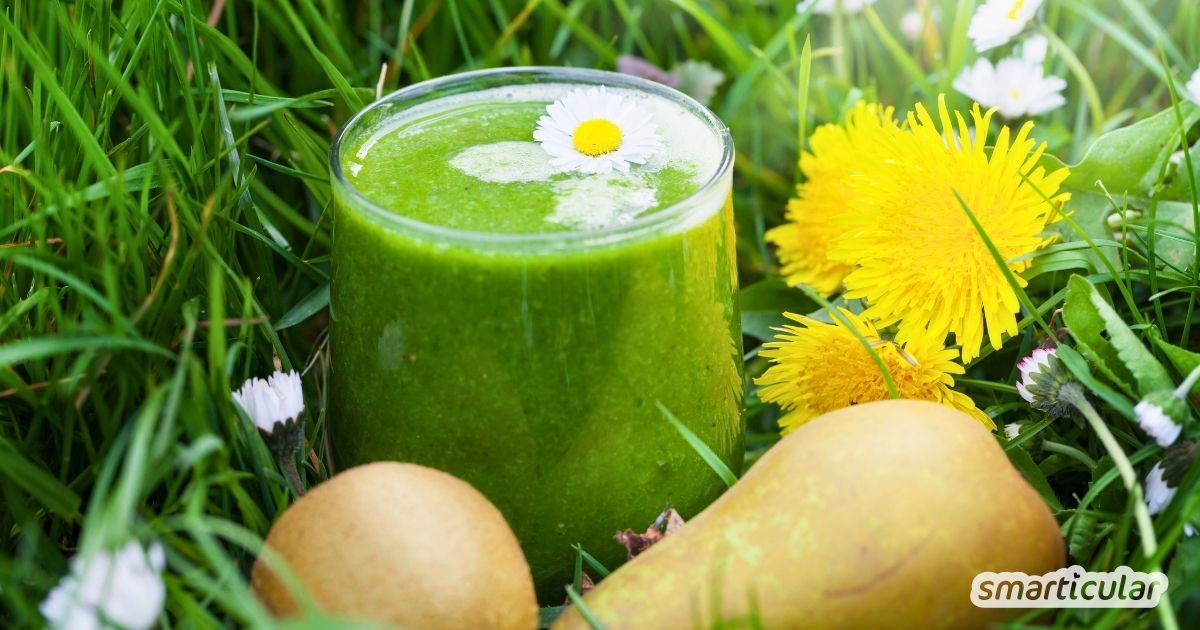 Grüner Smoothie mit Spinat, Birne und heimischen Wildkräutern: Ein Nährstoffkick im Glas – schnell gemixt und ohne exotische Zutaten.